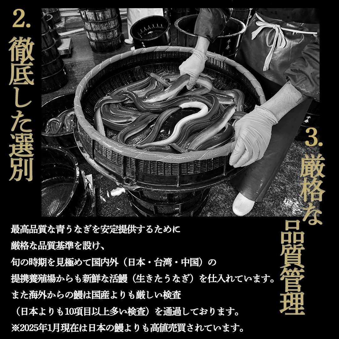 幻の鰻 あお天井の白焼き3尾（4～5人前）【愛知県東三河産地問屋直送】