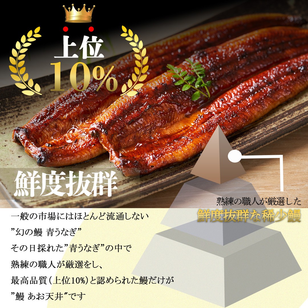 幻の鰻 あお天井の蒲焼き7尾と白焼き3尾のコンビセット（11～12人前）【愛知県東三河産地問屋直送】