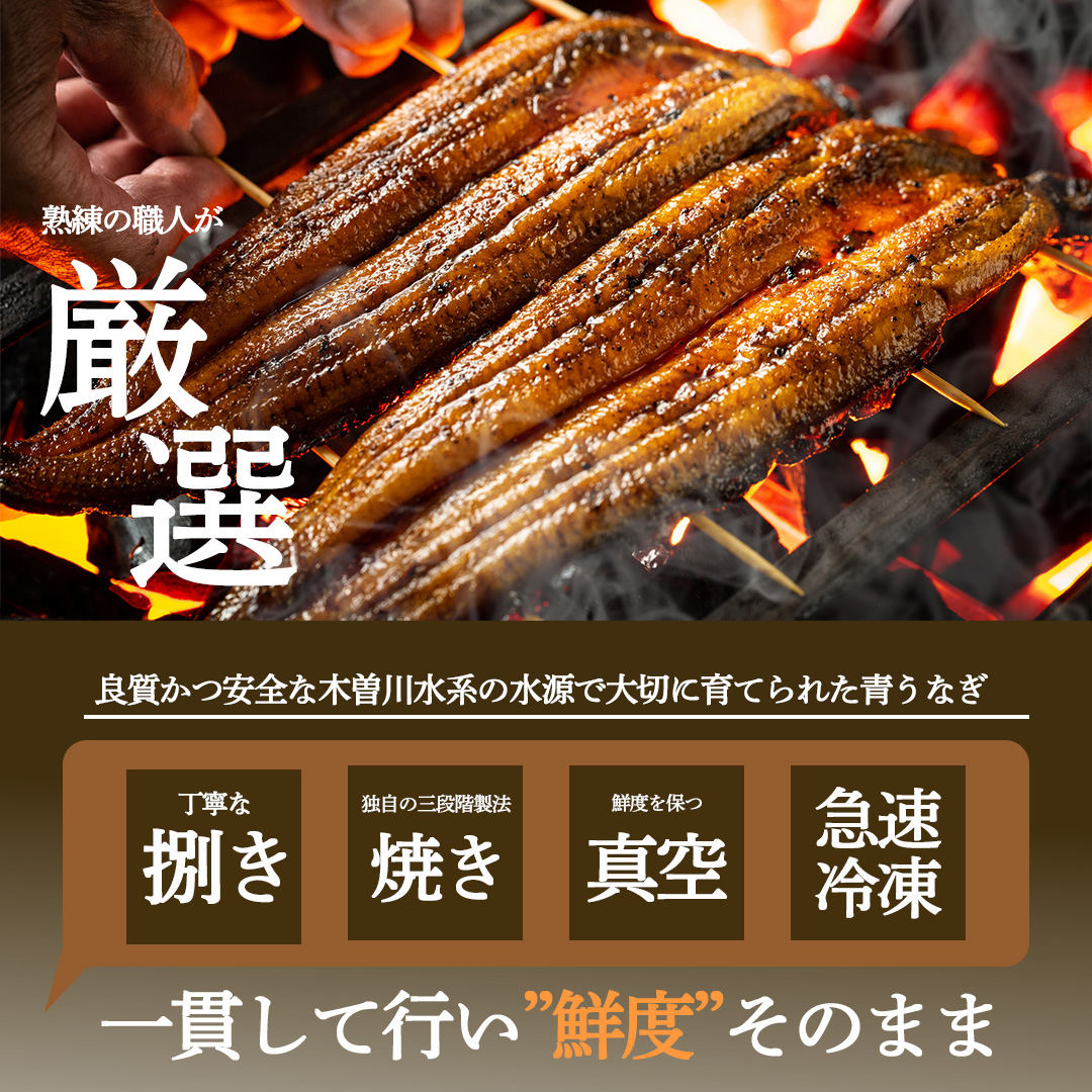 【初回限定】幻の鰻 あお天井の蒲焼き1尾と特選うなぎ茶漬けの詰め合わせセット（1～2人前）【愛知県東三河産地問屋直送】