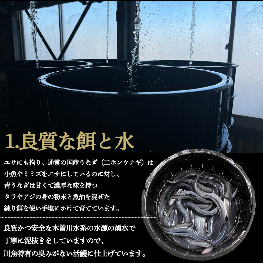 【詰め合わせセット（梅）】幻の鰻 あお天井の蒲焼き1尾と白焼き1尾と特選うなぎ茶漬けと高級肝焼きセットとあお天井の特選タレ小（2～4前）【愛知県東三河産地問屋直送】