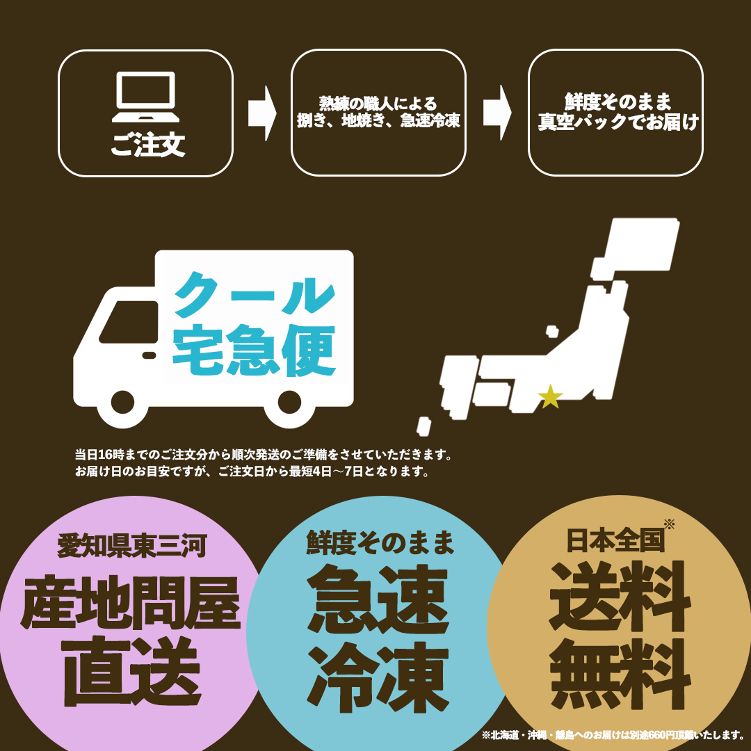 幻の鰻 あお天井の白焼き10尾（11～12人前）【愛知県東三河産地問屋直送】