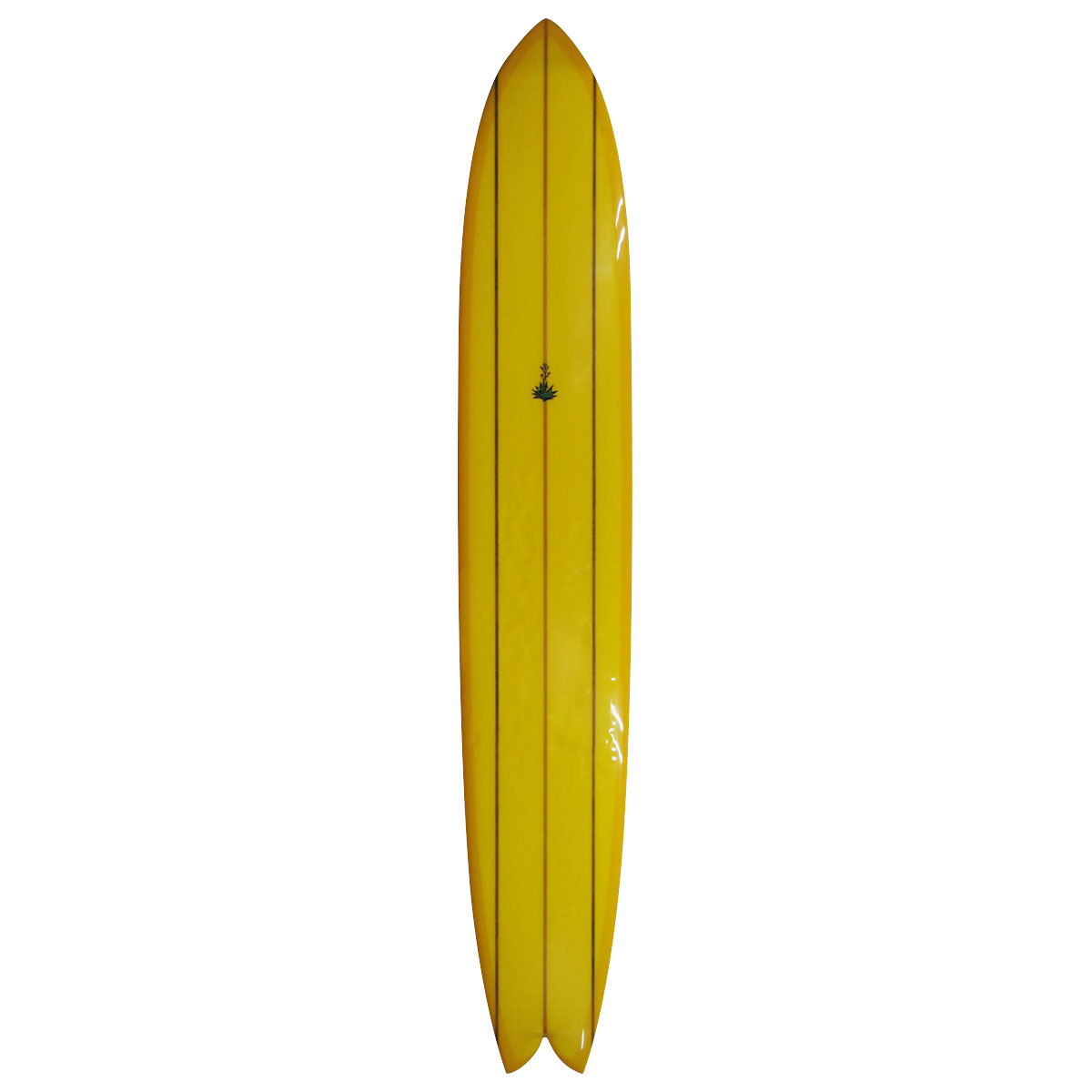 AGAVE / FISH SIMMONS 11`6